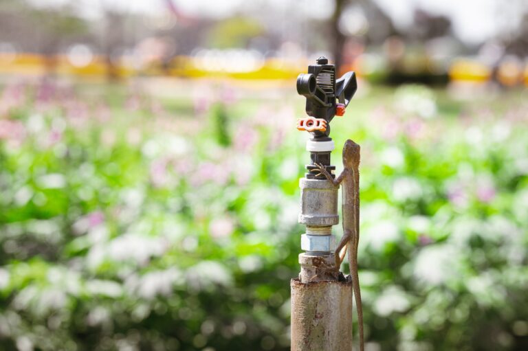 Praktyczny poradnik wyboru i instalacji hydroforu do nawadniania ogrodu