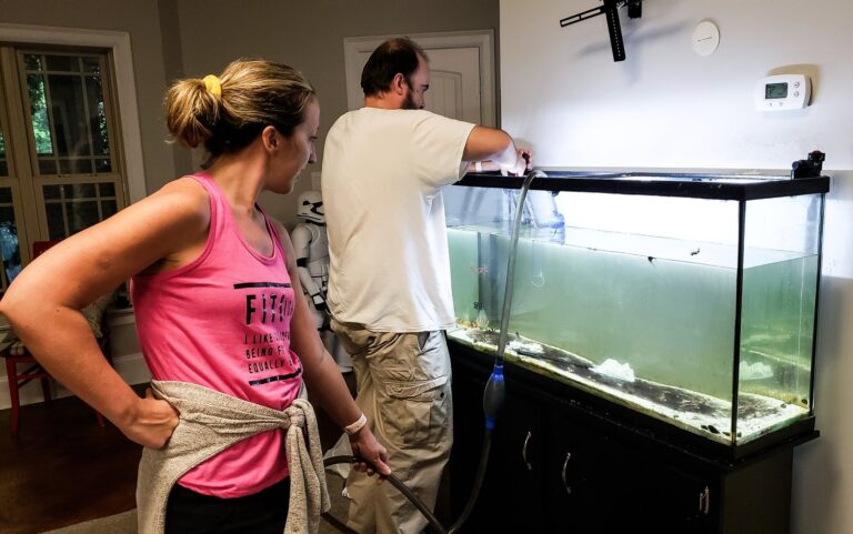 Dlaczego pompka w akwarium przestała działać po czyszczeniu